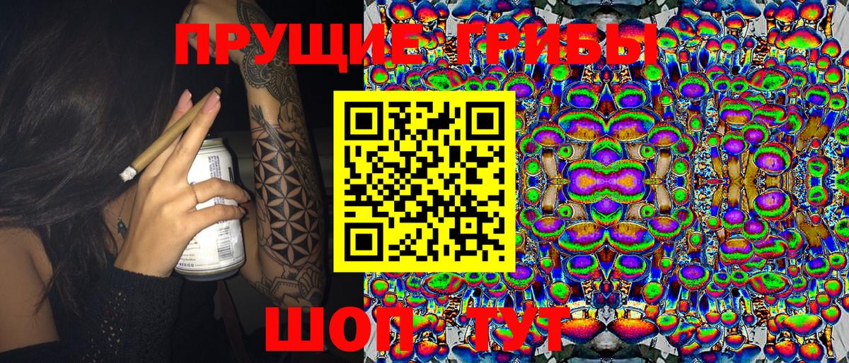 наркотики  Вход с VPN  Дербент  Галлюциногенные грибы Psilocybine cubensis 