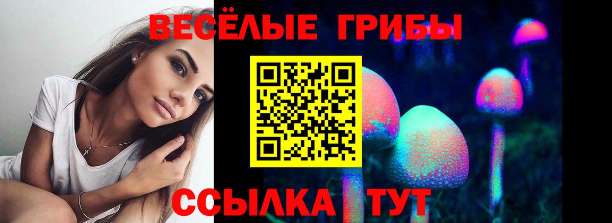 Псилоцибиновые грибы Magic Shrooms Дербент